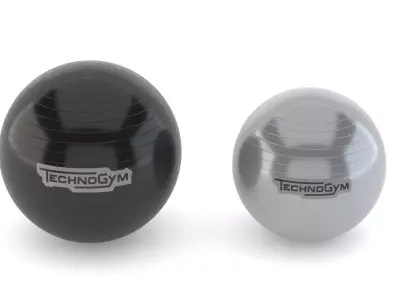 Technogym Accessories Wellness Ball Training 3D model