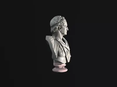 Imperial Roman Bust Collection - High Detail 3D Sculpture 3D model