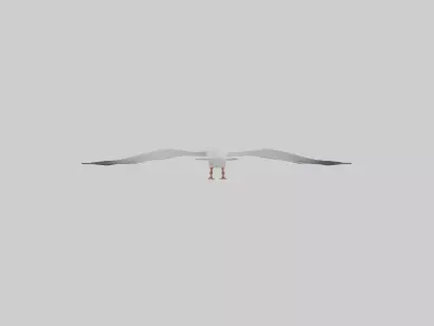 Gull flying model Low-poly 3D model