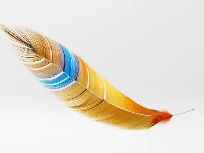Set of 8 high quality feathers 3D model