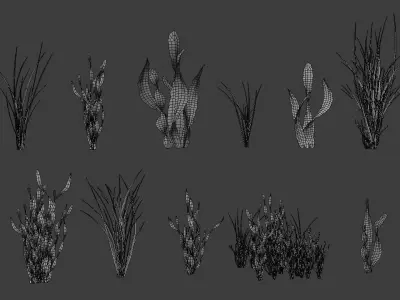 Underwater Grass Pack 3D model