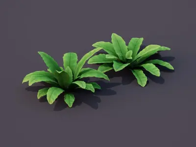 Bird Nest Fern Plant Low-poly 3D model