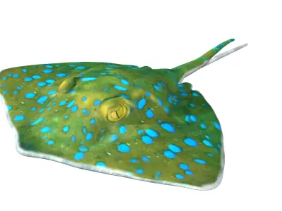Stingray Low-poly 3D model