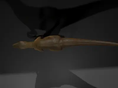 velociraptor model rigged Low-poly 3D model