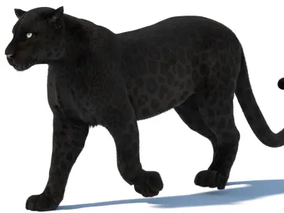  Rigged Black Panther Fur 