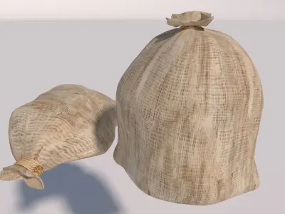 closed bags sacks 3D model
