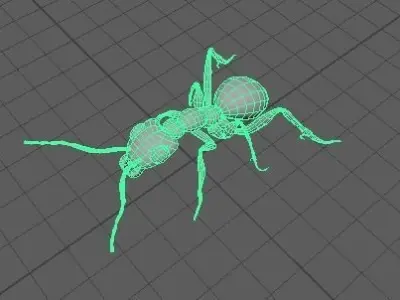Ant 3D model fbx 3D model