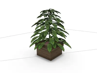 Plant Small SHC Quick Office LM Low-poly 3D model