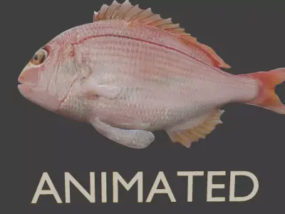 carp fish Low-poly 3D model 22