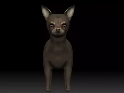 Chihuahua Dog Low-poly 3D model