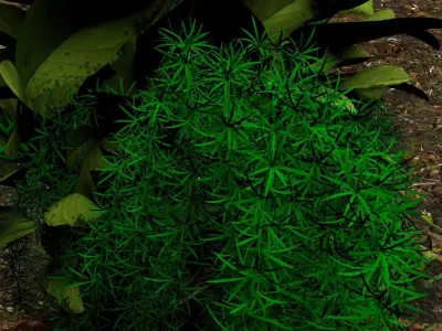 Plants 3D 3D model