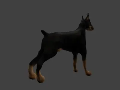Bull Dog Low-poly 3D model
