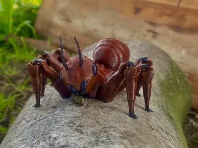Flexi ant fantasy print in place insect Free 3D print model