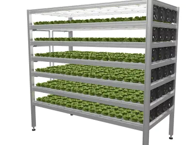 Vertical farm hydroponic 3D model