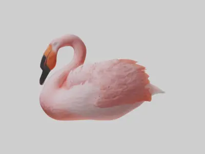 Sleeping Flamingo Model Low-poly 3D model