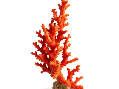 Vibrant Coral Reef model pack Low-poly 3D model