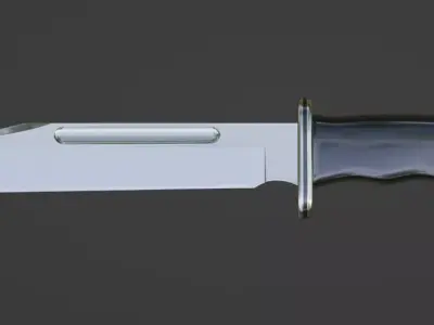 Buck 120 hunt knife model 3D model