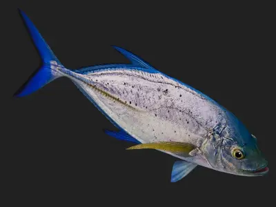 Trevally Low-poly 3D model get