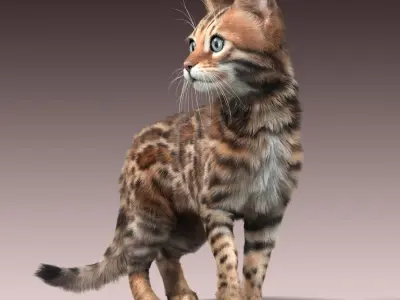 Bengal cat(2)(FUR)(ANIMATED) 3D model