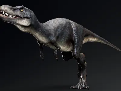 Dinosaur Juvenile Tyrannosaurus Rex - Unity Project Low-poly 3D model