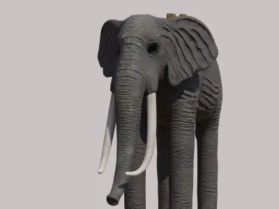 Zunesha Elephant Low-poly 3D model