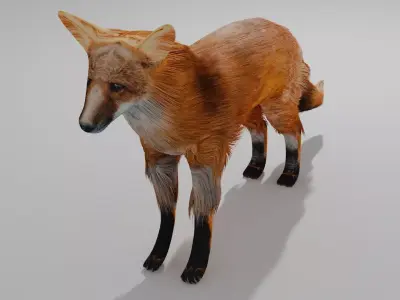 Fox OBJ and BLEND 3D model