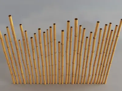 Bamboo 3D model purchase