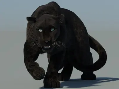  Rigged Black Panther Fur 