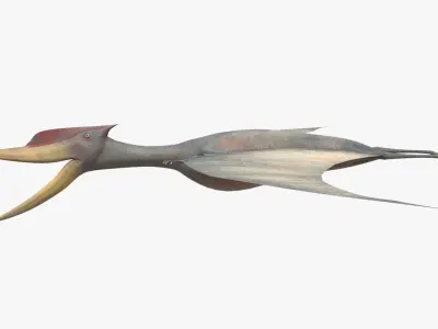 8K Realistic Pterodactyl Low-poly 3D model