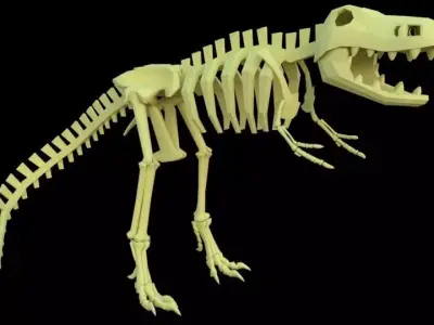 Lowpoly Trex t rex skeleton Free low-poly 3D model