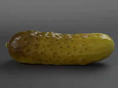 Cucumber pickle 3D model