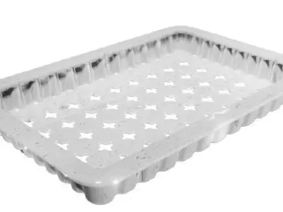 Spectacular Aluminium Tray Low-poly 3D model