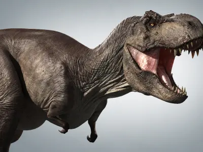 T-rex in Zbrush 3D model