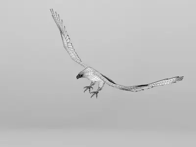 Golden Eagle Low-poly 3D model