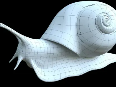 Snail Low-poly 3D model buy