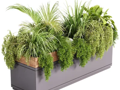 Indoor plant- 20 metall  and wooden in box on stand 3D model