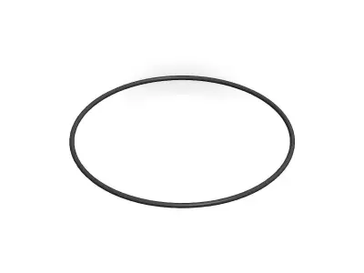O Ring Vedabras 12200 3D model