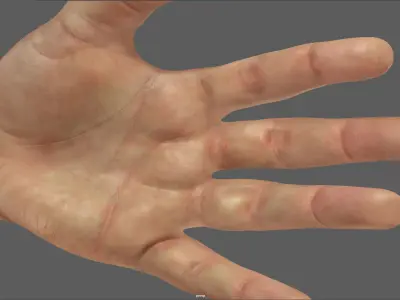 high resolution hand ready for close shoots  3D model