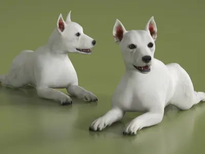  West Highland White Terrier Rigged 