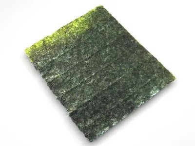 Sushi Nori 3D model