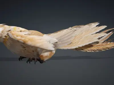 Hawk-A5 3D model