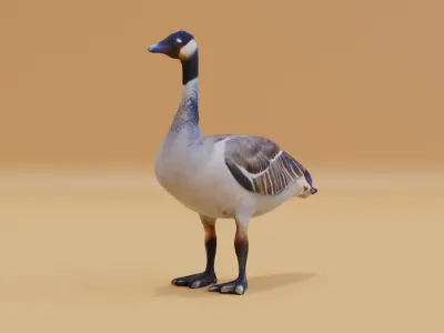 Goose Large Free low-poly 3D model