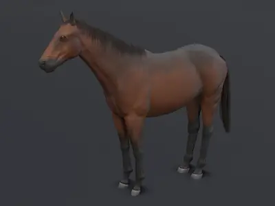 Horse Low-poly 3D model 15