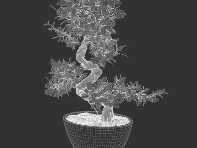  Bonsai Potted Plant Model  buy