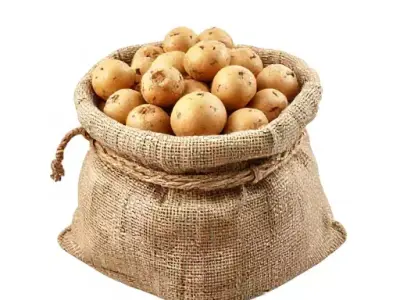 Woven Potato Sack Low-poly 3D model