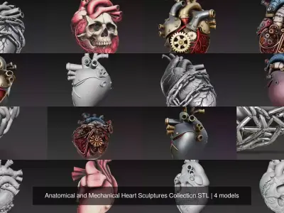 Anatomical and Mechanical Heart Sculptures Collection STL 3D Model Pack