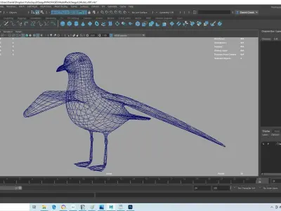 Realistic Seagull Model - Rigged Low-poly 3D model