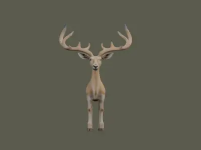 Deeer 3D model purchase