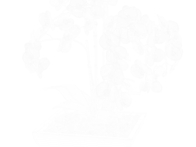  Orchid Plant Model, Red  purchase
