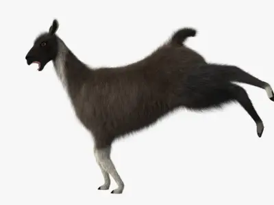 Llama 3D model